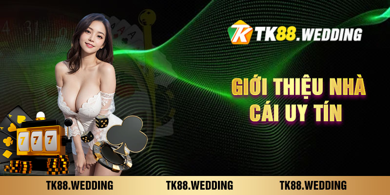 Giới thiệu khái lược về TK88